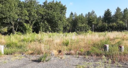Ardenay-sur-Mérize Maison neuve -  Maine Construction