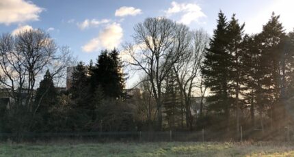 Teloché Maison neuve -  Maine Construction