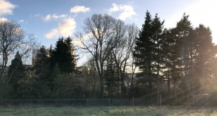 Saint-Jean-d'Assé Maison neuve -  Maine Construction