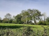 Maison à construire à Savigné-l’Évêque (72460) 2482711-6170annonce220260412lm0Co.jpeg Maine Construction
